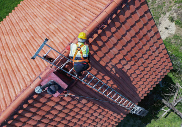 Best Roof Moss and Algae Removal  in South San Jose Hills, CA