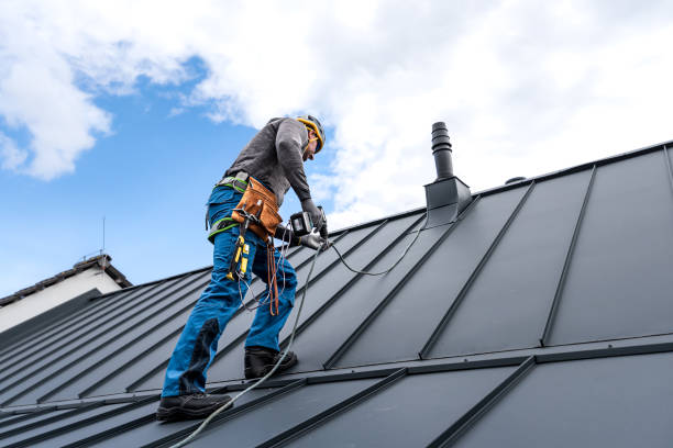 Best Roof Insulation Installation  in South San Jose Hills, CA